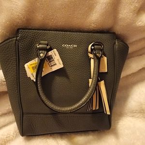 Coach Leather Purse in Gray color